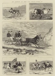 Un artista en el Lejano Oeste, Parte IV